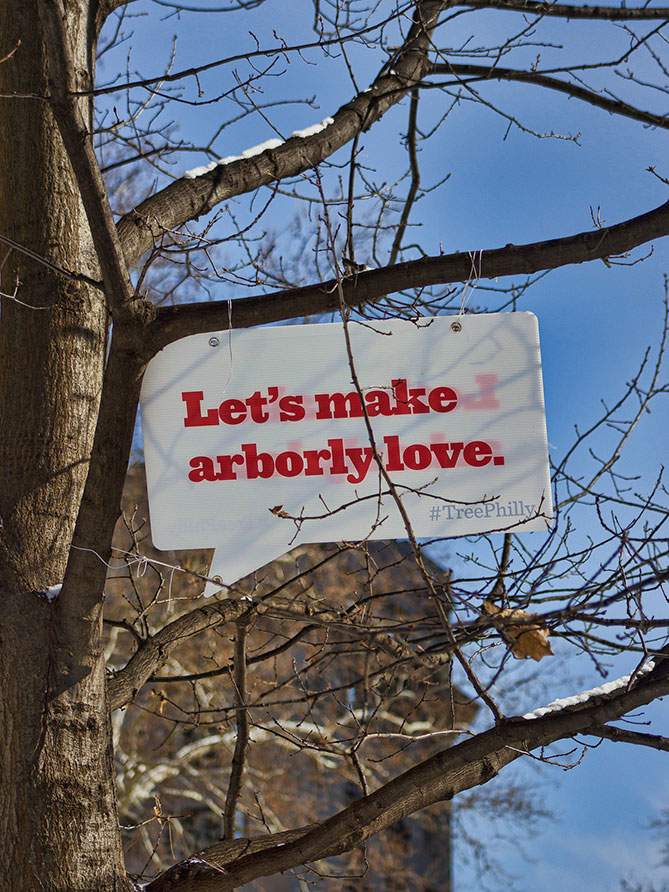 TreePhilly